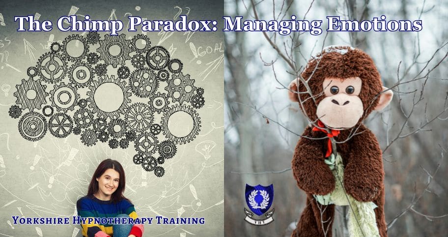 concept image for the chimp paradox, a brain and a toy chimp