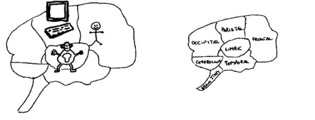 chimp paradox introducing your chimp