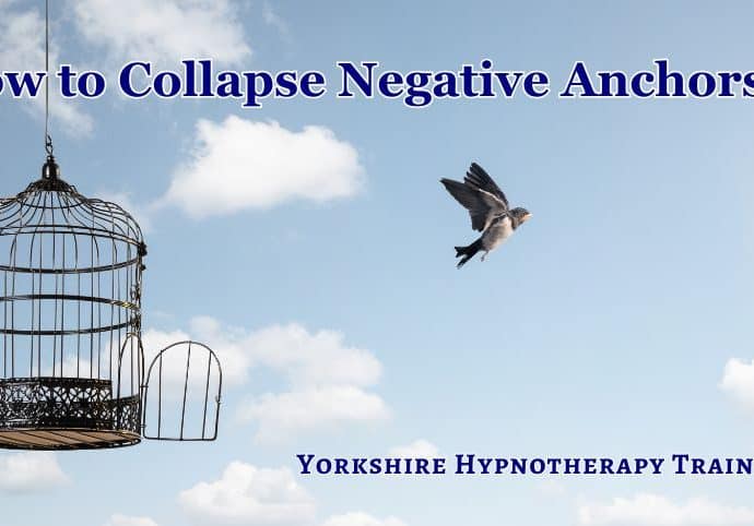 concept image: a bird flying free from a bird cage to represent freedom from negative associations