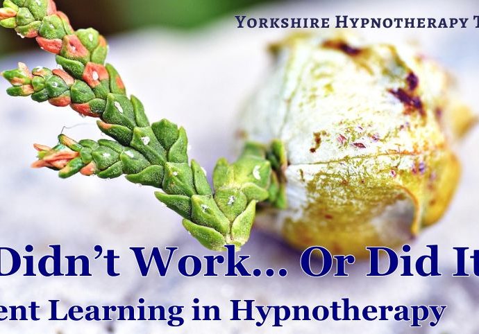 concept image: a shoot coming from a seed to represent latent learning.