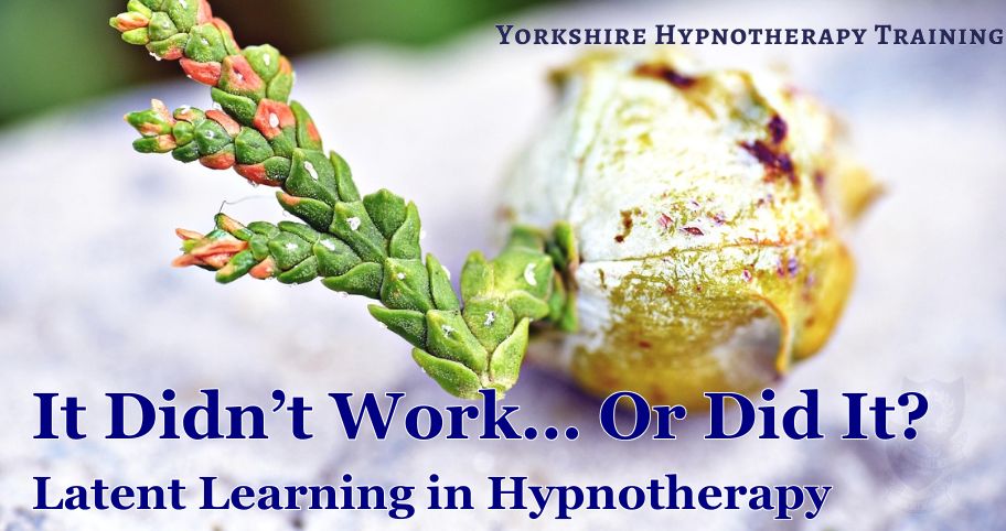 concept image: a shoot coming from a seed to represent latent learning.