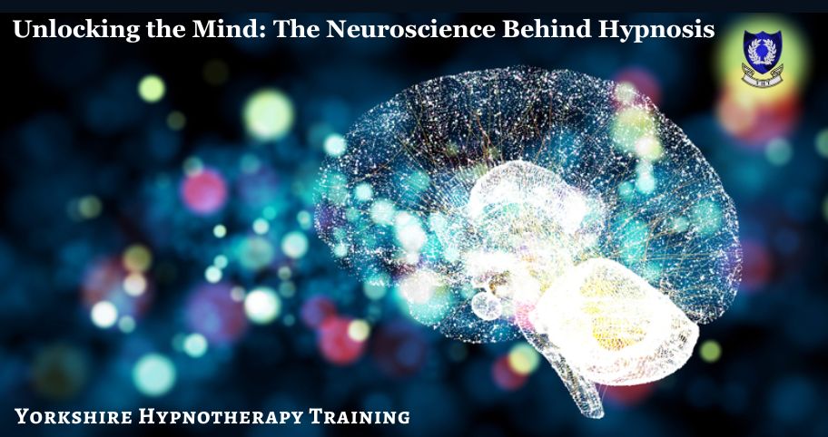 a concept image of a brain to illustrate neuroscience and hypnosis in the brain