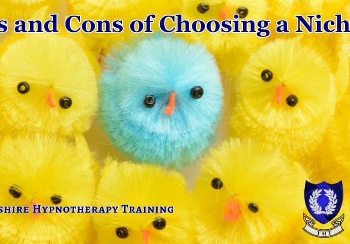 concept image for therapists niching: one blue chick amongst lots of yellow ones