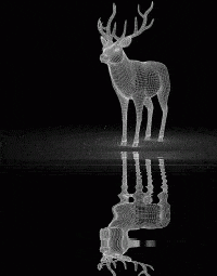 gif of silver stag reflected in a pool